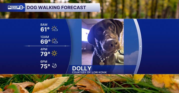 DOG WALKING FORECAST: A lot more Dolly and a lot less rain