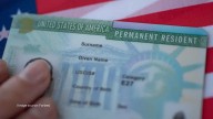 ‘American dream stays alive’: Amid Trump’s $100,000 H-1B fee, Indian researcher shares 14