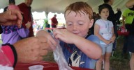 Kingston Farms to host Farm Fest on Saturday