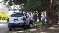 Volvieron a ver al puma rondando Pilar del Este, pero no logran encontrarlo
