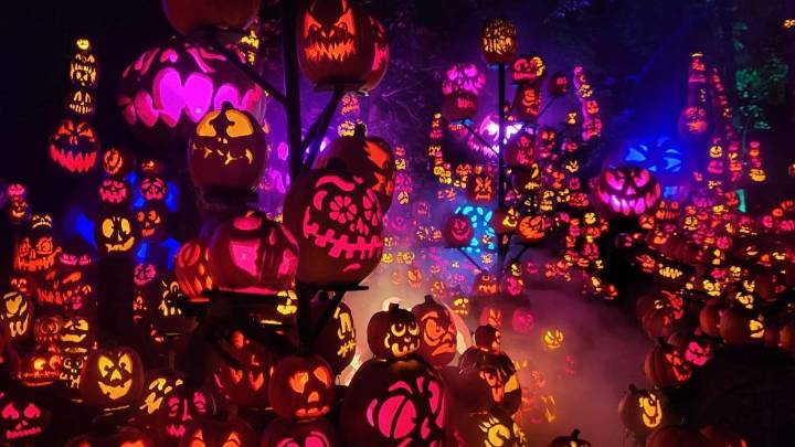 22 family-friendly, non-scary things to do for Halloween in Louisville