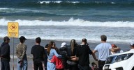Man's tragic death in rare attack as shark nets debated