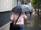 Primavera 2025: Mendoza tendrá temperaturas y lluvias 45% más altas de lo habitual