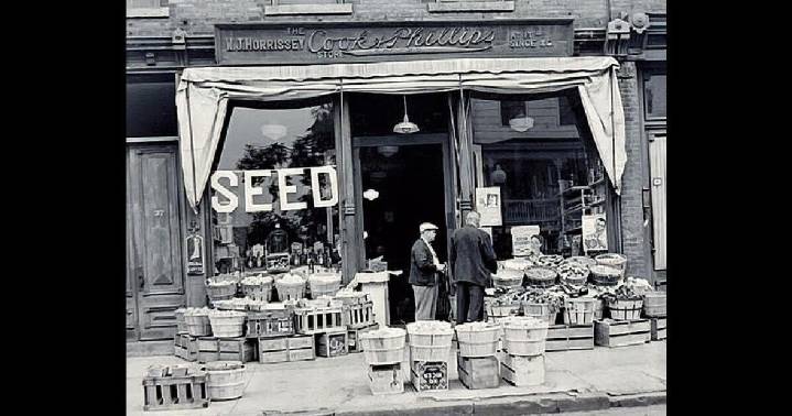 Ballston Spa and a clam bake. Eight 1940s, 1950s photos