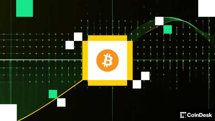 Corporate Bitcoin Buying Slows in August as Treasuries Add $5B