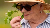 Foraging in New England: How wild food enthusiasts are reconnecting with nature