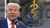 Las 10 falacias trumpistas, por Jorge Elbaum