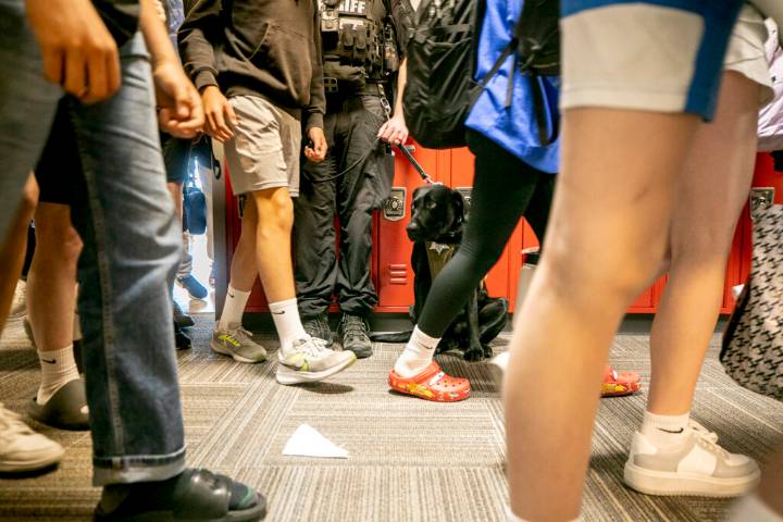 DPS will bring gun-sniffing dogs to school sporting events