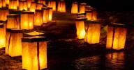 Death notices and funeral announcements from Cambridge News this week