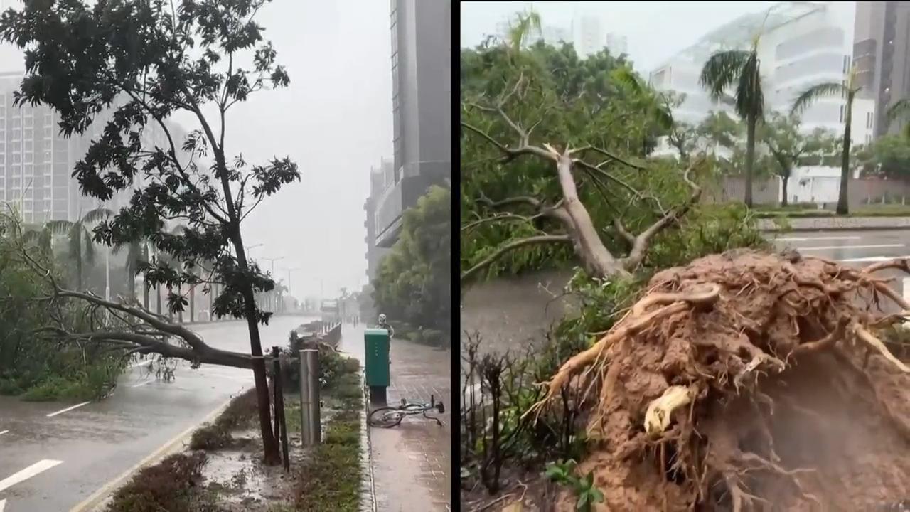 Typhoon Ragasa hits Hong Kong with massive waves and trees blown down