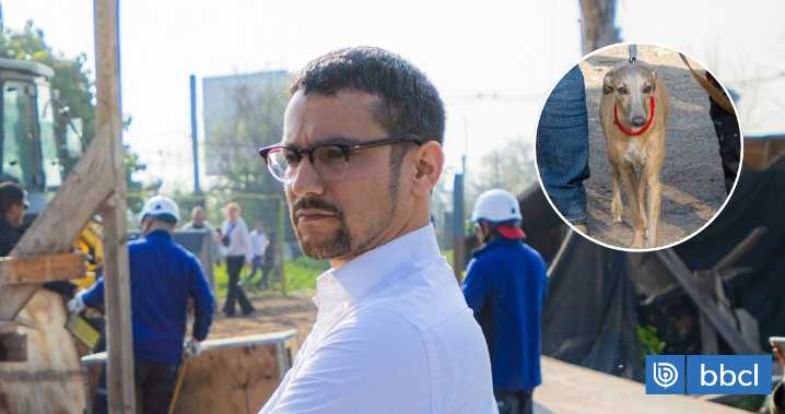 Denuncian que alcalde de Peñalolén fue amenazado de muerte tras cerrar canódromo de carreras de galgos