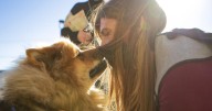 Billings evaluates plan to reopen animal shelter after FBI meth burn gone wrong