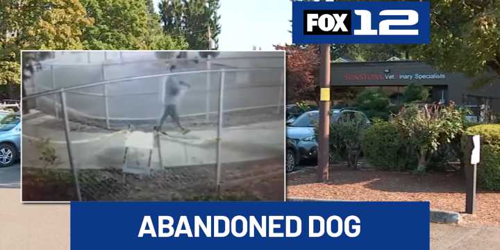 Man caught on camera abandoning seriously injured dog at Northeast Portland veterinary clinic