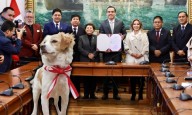 Congreso declara al perro pastor Chiribaya como Patrimonio Cultural de la Nación