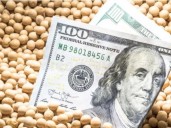 Dólar, aluvión de liquidaciones y el riesgo “Puerta 12”: el cóctel que está inquietando al mercado