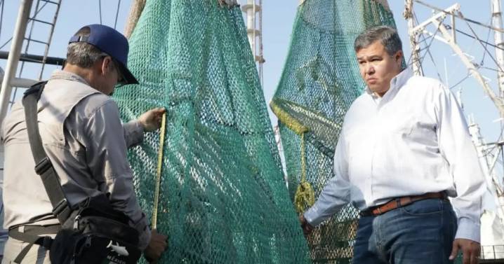 Profepa verifica dispositivos excluidores de tortugas marinas