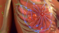 BioNTech and DualityBio Score at Phase III with Breast Cancer Therapy