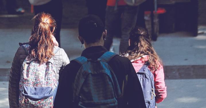 Estudio de la OCDE destaca a Chile por gratuidad en educación superior, financiamiento y profesión docente