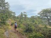 Michigan Tech coach dodges moose while shattering Isle Royale trail record