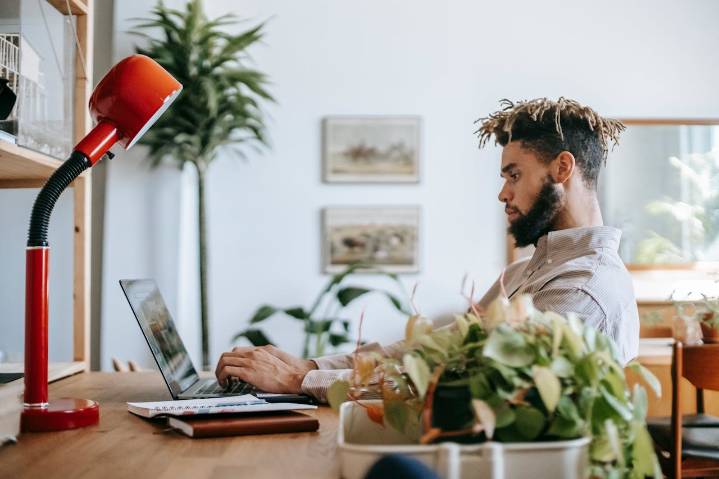 Freelance Media Opportunities: Earn With Your Network Through stupidDOPE.com