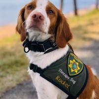 Kootenai County therapy dog nominated again for First Responder Paws Award
