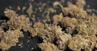 Abbott expected to issue executive order setting age requirements for THC