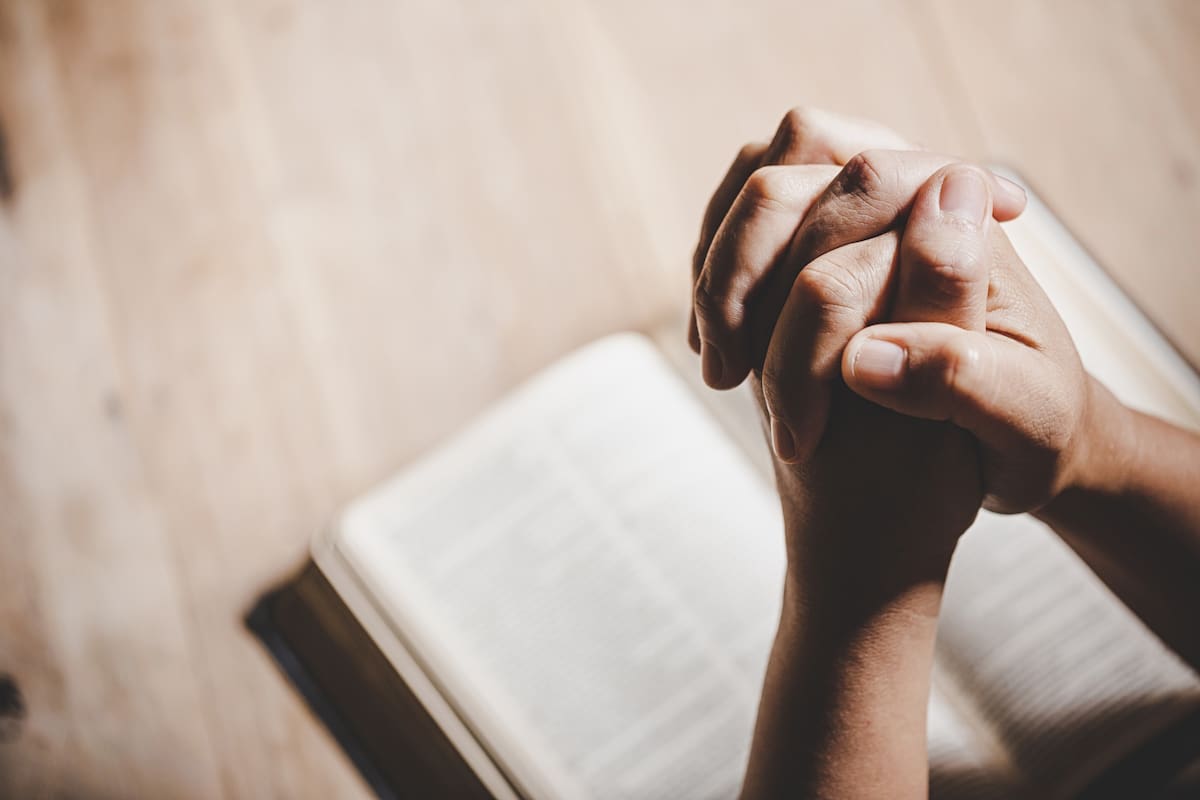 Lectura católica. Evangelio católico del día de hoy