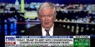 Newt Gingrich: Schumer is putting Democrats at risk with this new 'political stunt'
