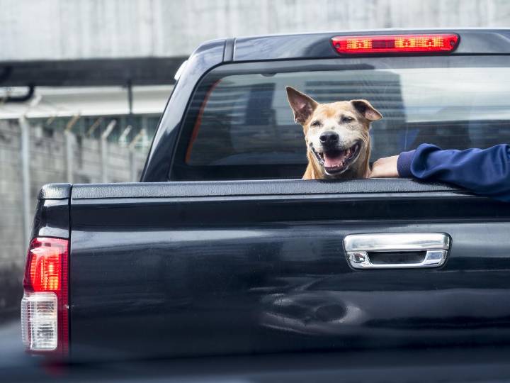 High-risk Pickups Driving Up Insurance Rates In Washington
