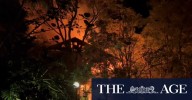 Remains found in search for missing woman after house fire