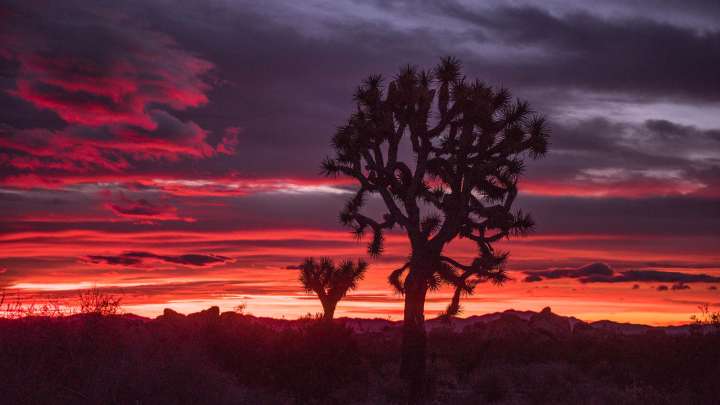 Former national park superintendents urge Trump administration to close parks in case of shutdown