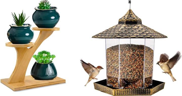 Bougie Home & Garden Finds That Transform Your Space Without Killing Your Wallet