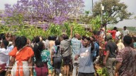 UNIMA Students Protest Over Teaching Practice Fees and Accommodation Costs