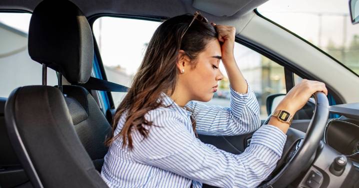 Learner drivers are being conned by crooks offering fake tests and bogus lessons