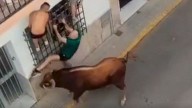 España: un hombre murió tras ser corneado por un toro en una fiesta local