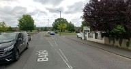 Dog walker seriously injured after 'storm-damaged tree' crushes him