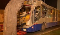 Avenida Arequipa: al menos seis heridos tras choque de bus del Corredor Azul contra árbol