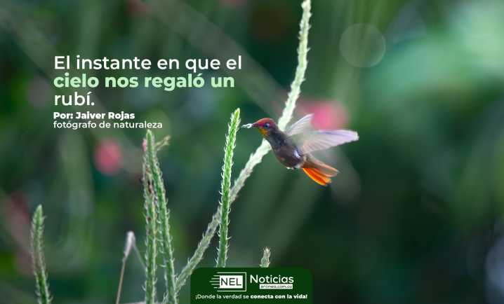 El instante en que el cielo nos regaló un rubí