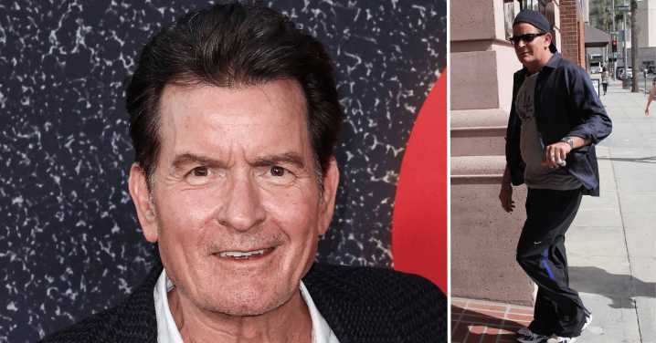 Charlie Sheen Admits to Going Under the Knife After Sex Worker Called Him 'Fat'