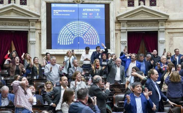 La oposición celebró el rechazo a los vetos de financiamiento universitario y el Garrahan