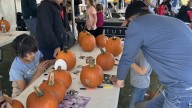 Popular Whiteford Twp. Fall Festival raises money for park's playground