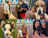 Alta demanda de adopciones