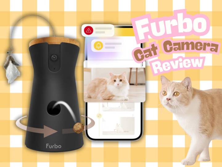 I tried the Furbo cat camera and I think it is the No. 1 thing every anxious pet owner needs