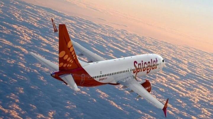 SpiceJet shares rebound 10% after hitting new 52-week low; analysts weigh in