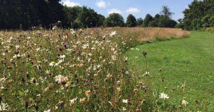 Visit the ancient deer park hidden behind busy West Midlands commuter route