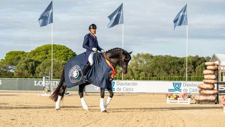 Arranca el Campeonato de España de Caballos Jóvenes de Doma Clásica 2025 en el CECYL