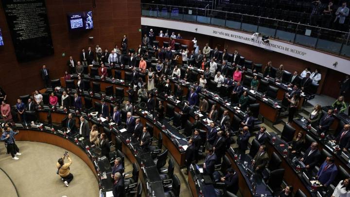 El Senado aprueba a los nuevos integrantes del Consejo Nacional de Búsqueda