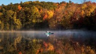 Drought across Canada could lead to duller fall colours, Ontario biologist says
