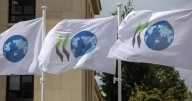 OCDE prevé un mejor panorama económico para México; eleva pronóstico del PIB a 0.8% en 2025