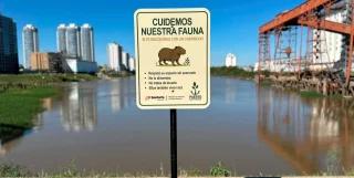Instalan cartelería en el Puerto de Santa Fe para proteger a los carpinchos del...
